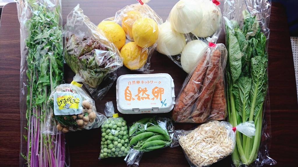 農苑直送!採れたて!旬の野菜セットがご家庭に! 農苑直送!採れたて!旬の野菜セットがご家庭に!