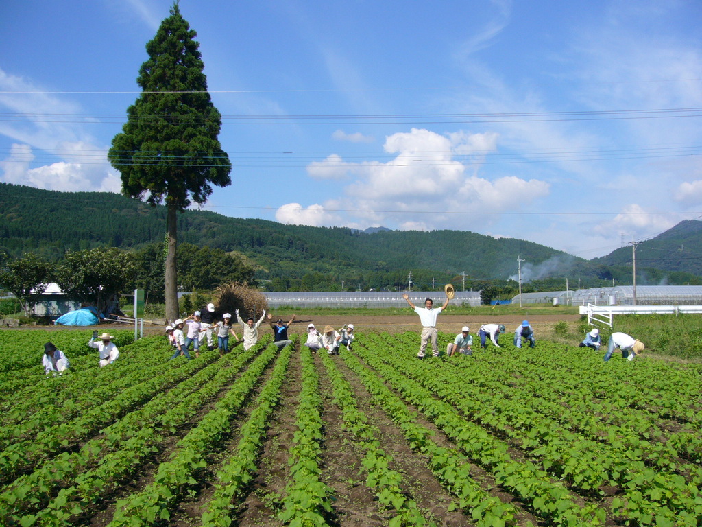 フーデリー農園どれ蕎麦打ち体験教室受付中 フーデリー農園どれ蕎麦打ち体験教室受付中